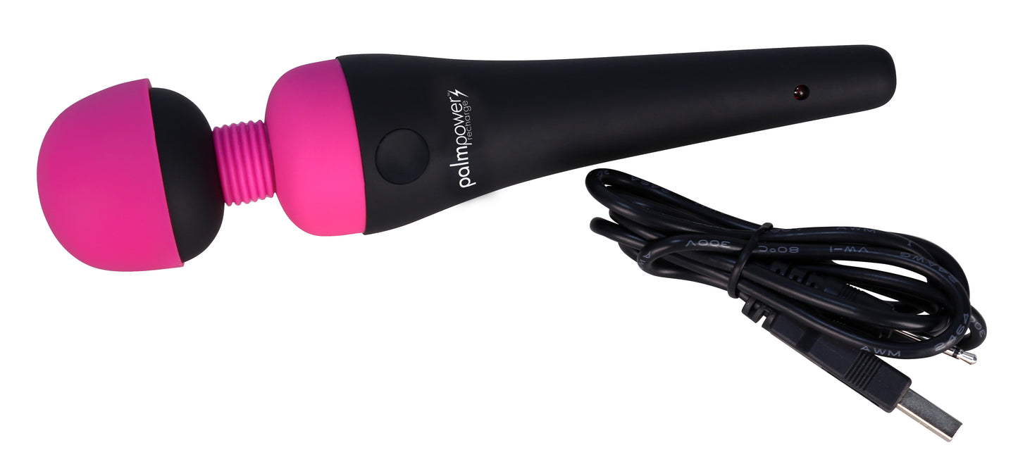 PalmPower Massage Wand Recharge Waterproof