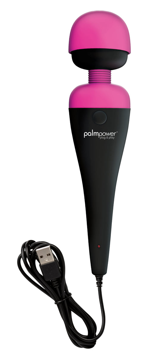 PalmPower Massage Wand Plug and Play USB