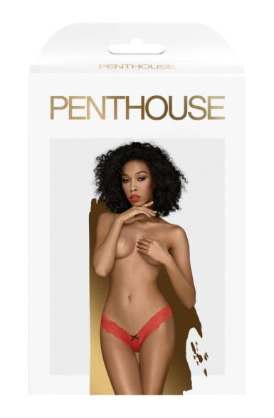 Penthouse Dangerous Darling Panties Red Size S/M or M/L or L/XL