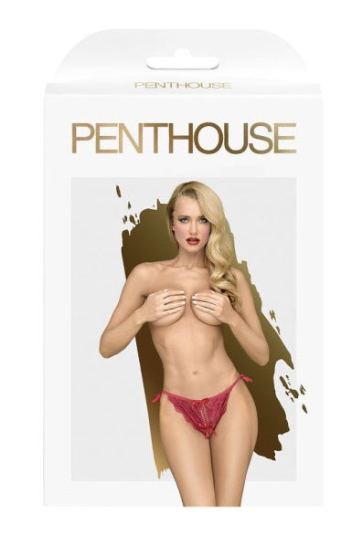 Penthouse Too Hot To Be Real Panties Wine Size S/M or M/L or L/XL