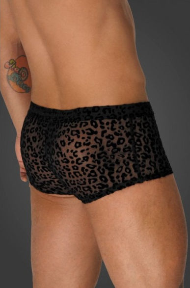 Noir Leopard Flock Short Shorts Size S, M, L or XL