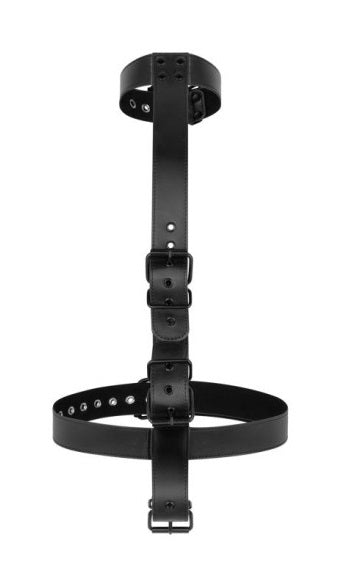 Bedroom Fantasies Collar with Wrist Cuffs Body Restraint