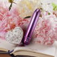 Rocks Off Boudoir Parlour Prince Bullet Vibrator