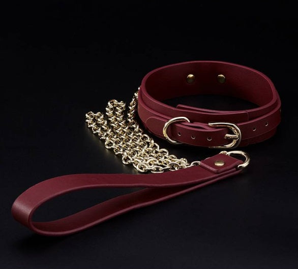 Roomfun 8 Pc Deluxe Bondage Play Kit Burgundy Gold