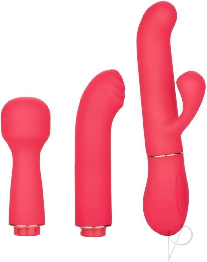 CalExotics In Touch Passion Trio Pink - Vibrator Set with 3 dynamic attachments