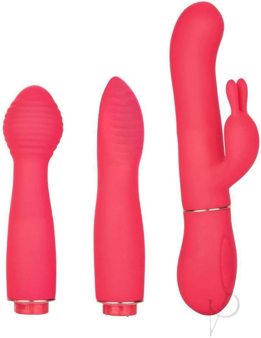 CalExotics In Touch Dynamic Trio Pink - Vibrator Set with 3 dynamic attachments