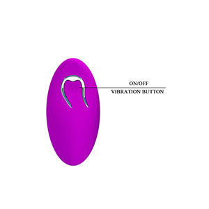 Pretty Love Arvin Vibrating Egg Purple with Remote