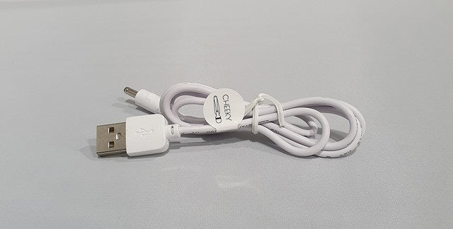 Pillow Talk Sultry, Kinky, Flirty, Racy, Cheeky, Sassy USB Spare Recharge Cable