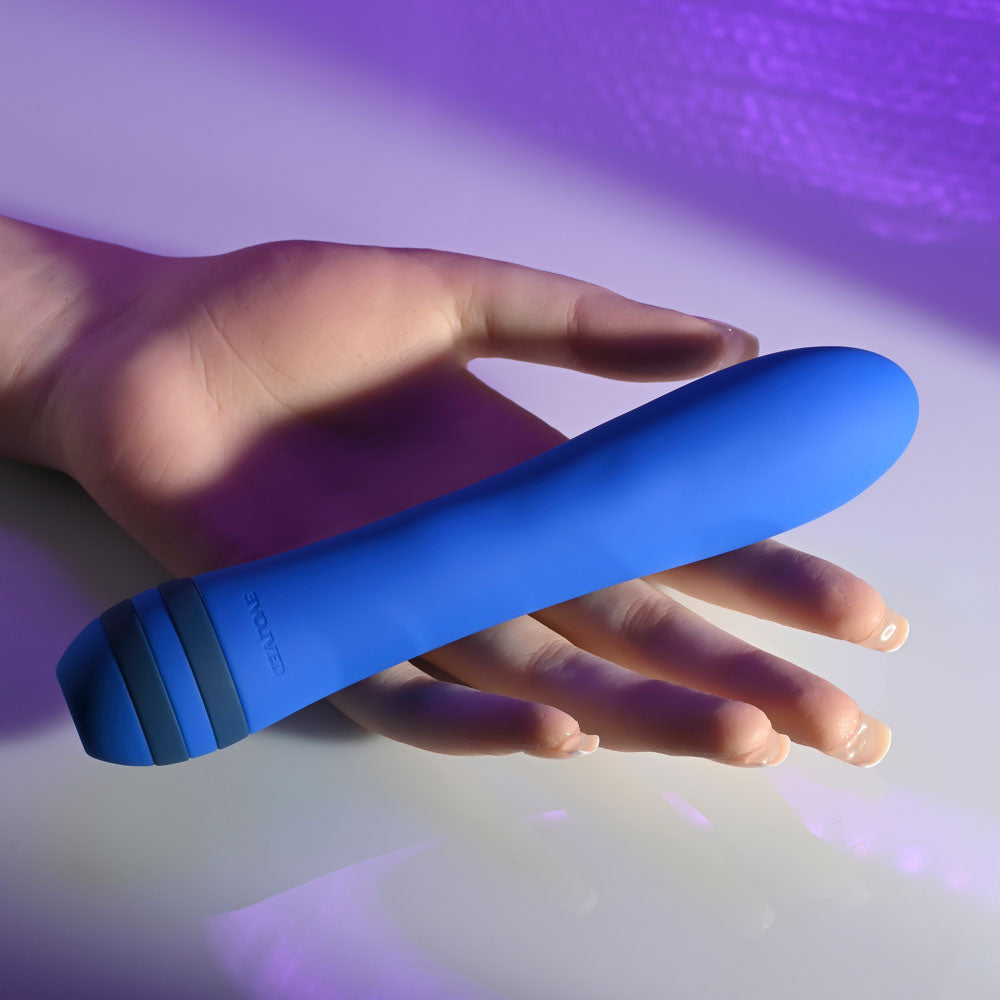 Evolved THE PLEASER Blue 16.5cm USB Rechargeable Vibrator