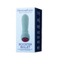 Femme Funn Booster Bullet Vibrator