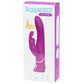 Love Honey Happy Rabbit Rechargeable Curve Rabbit Vibrator Purple