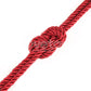 Lovetoy | Rebellion Reign Silky Bondage Rope - Red 10m