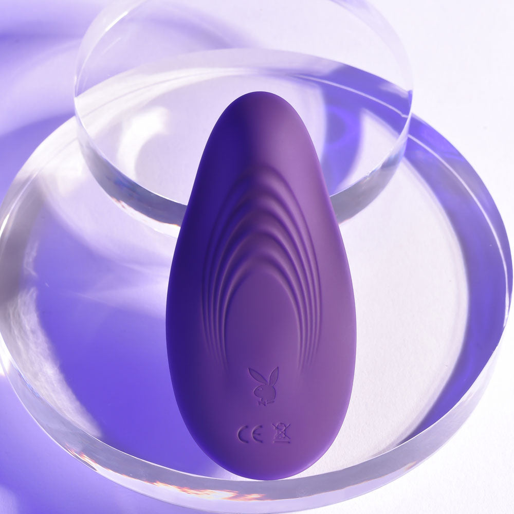 Playboy Pleasure OUR LITTLE SECRET Purple USB Panty Vibrator Wireless Remote