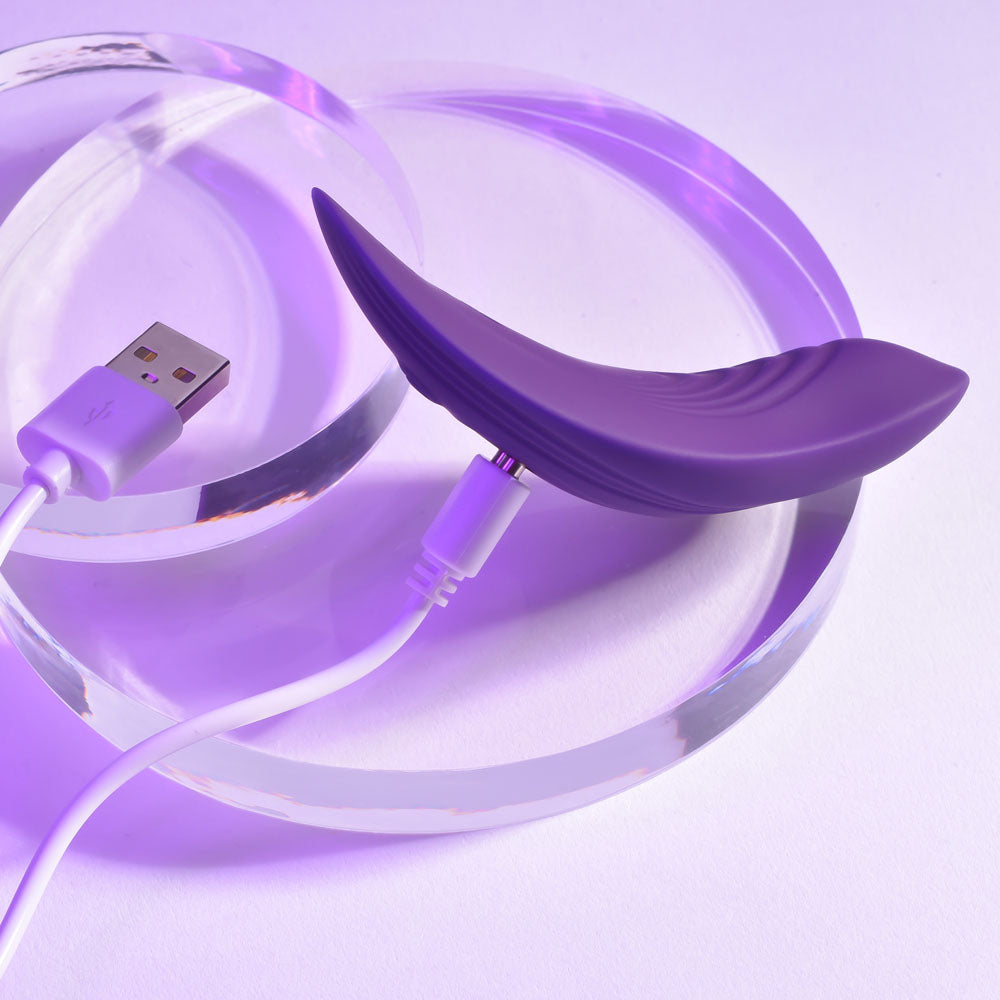 Playboy Pleasure OUR LITTLE SECRET Purple USB Panty Vibrator Wireless Remote