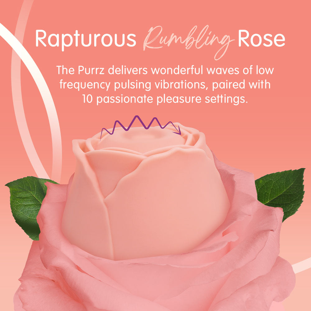 CreativeC | Skins Rose Buddies - The Rose Purrz - Light Pink USB Pulsing Rose Stimulator