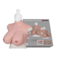 St Rubber | XX-DreamsToys Ultra Realistic Breast Form Size XL