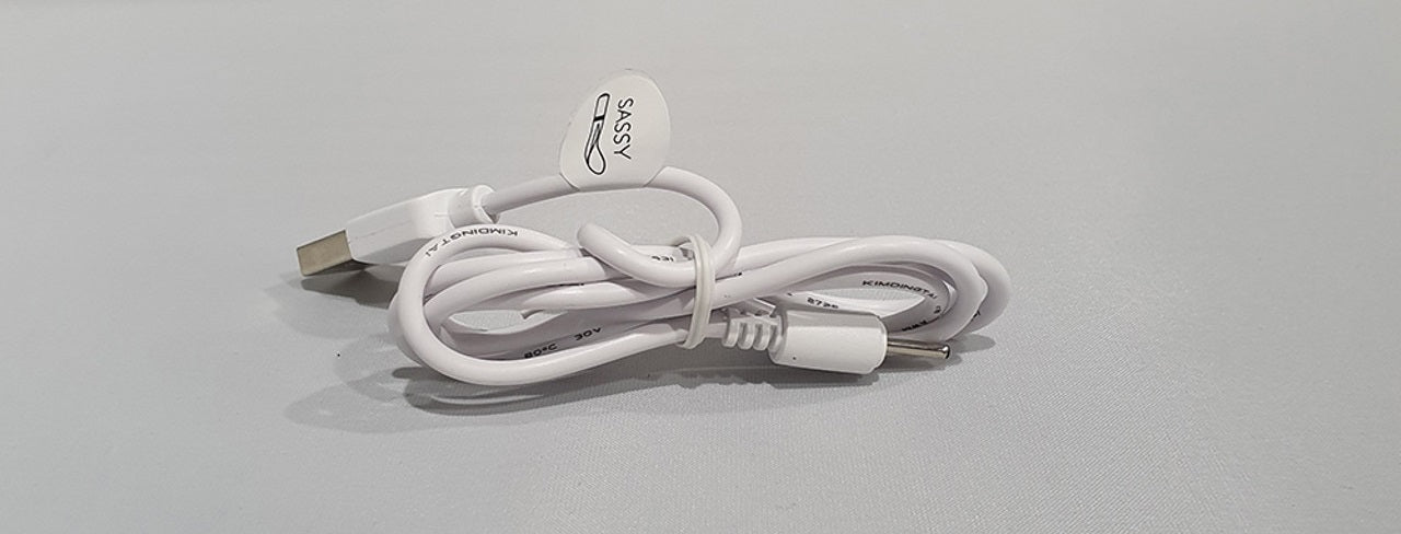 Pillow Talk Sultry, Kinky, Flirty, Racy, Cheeky, Sassy USB Spare Recharge Cable