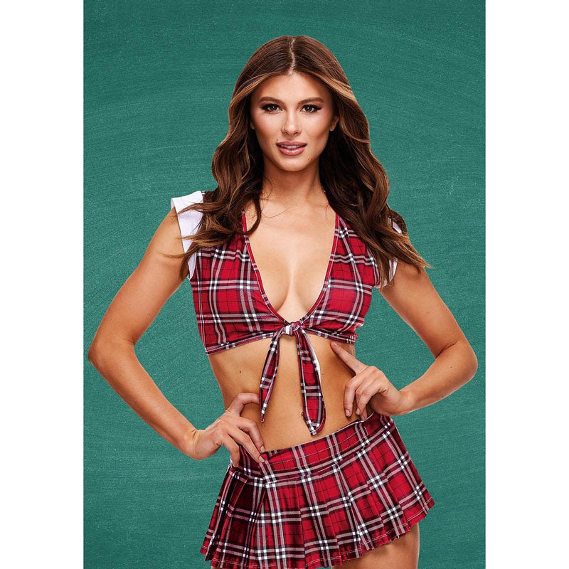 Teachers Pet Schoolgirl Crop Top & Skirt Size S/M or M/L