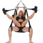 WhipSmart Yoga Sex Swing