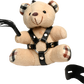 Master Series BDSM/Hooded/Gagged/Bondage Teddy Bear Keychain Adult Gift - VARIOUS