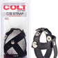 CalExotics | COLT Leather C/B Strap H-piece Divider Cock Rings Cockring Black