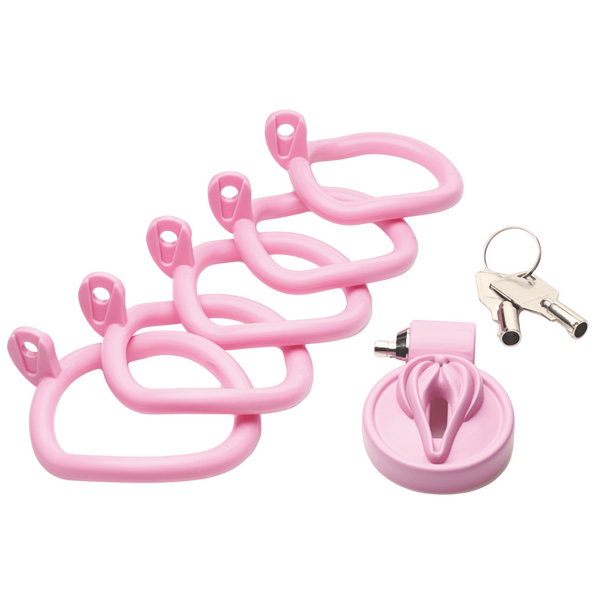 Master Series Pussification Vulva Chastity Cage