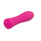 Nalone Rock Ian Massage Bullet Vibrator