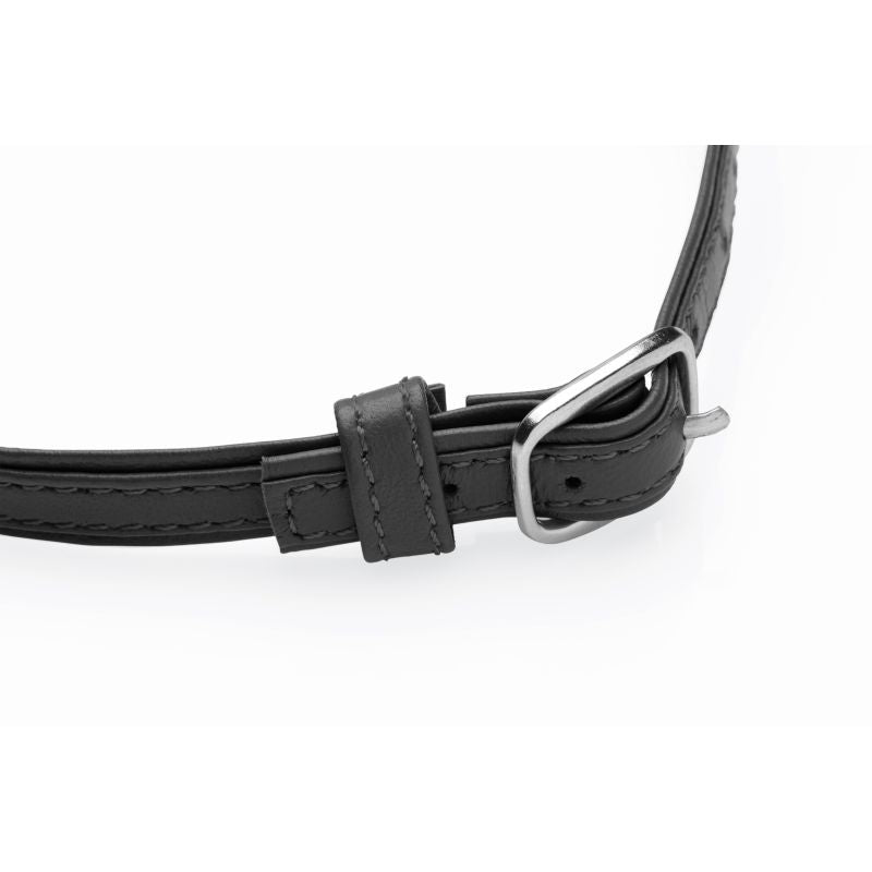 Master Series | Sex Pet Leather Choker with Silver Ring Black