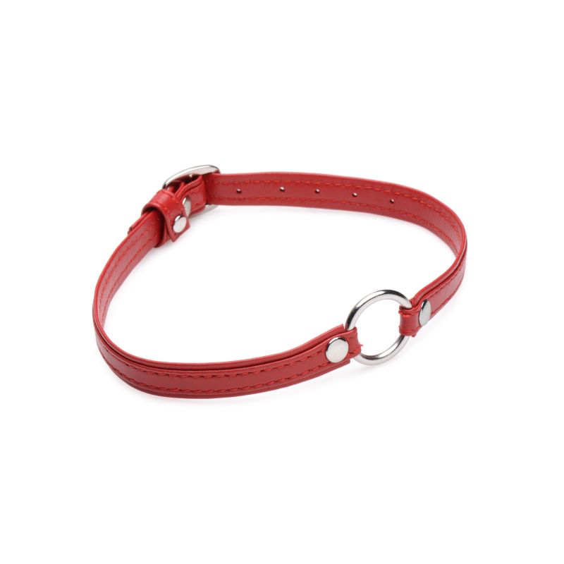 Master Series Fiery Pet Leather Choker with Silver Ring Red